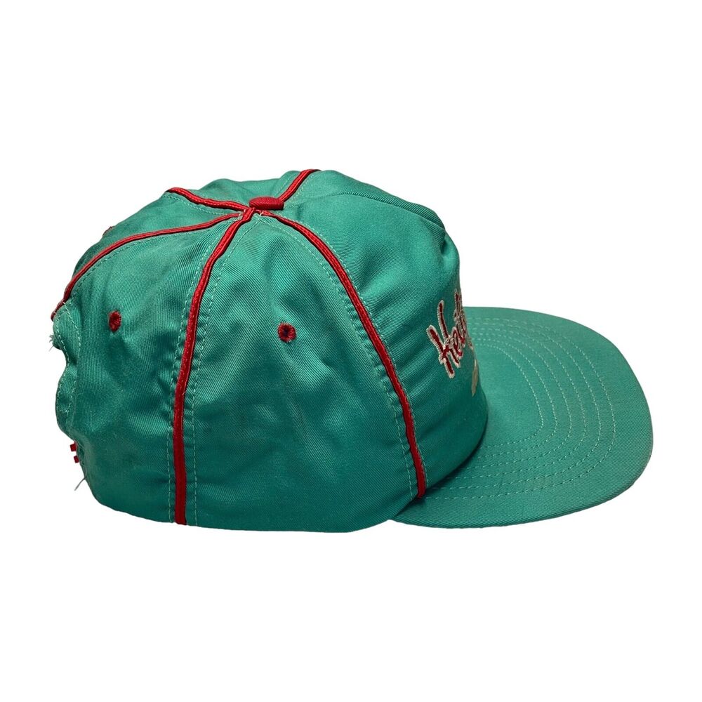 SKM Aqua Embroidered Bobby Hillin Jr. Nascar Heilig Meyers Racing Snapback Hat - Picture 3 of 7